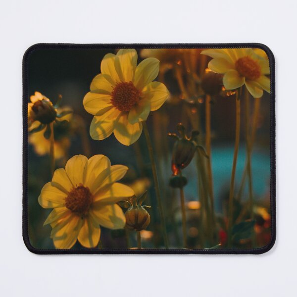 Item preview, Yellow Cosmos Flowers  designed and sold by Benn-IA.