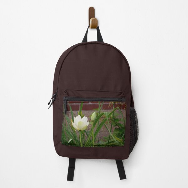Item preview, Nelumbo Lutea American Lotus #1 designed and sold by Anthony Seeker.