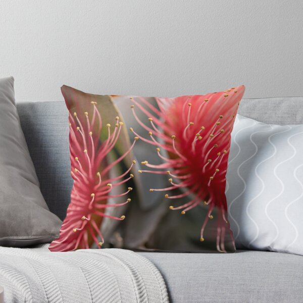Item preview, Macrocarpa Magic 2 designed and sold by SallyB.Photography.
