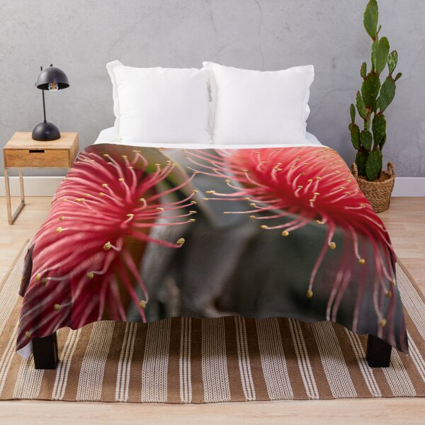 Item preview, Macrocarpa Magic 2 designed and sold by SallyB.Photography.
