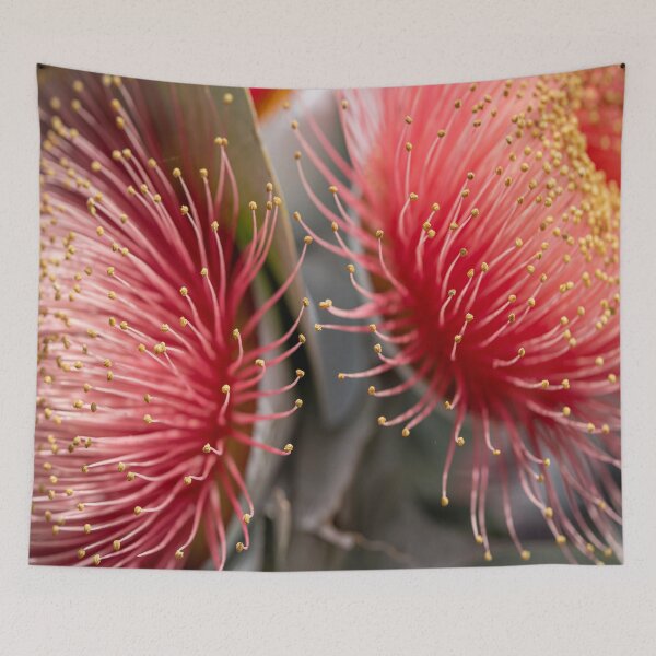 Item preview, Macrocarpa Magic 2 designed and sold by SallyB.Photography.