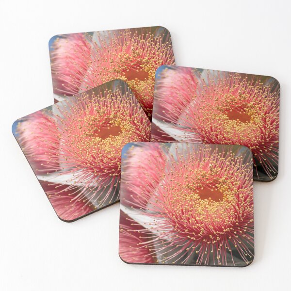 Item preview, Macrocarpa Magic 3 designed and sold by SallyB.Photography.