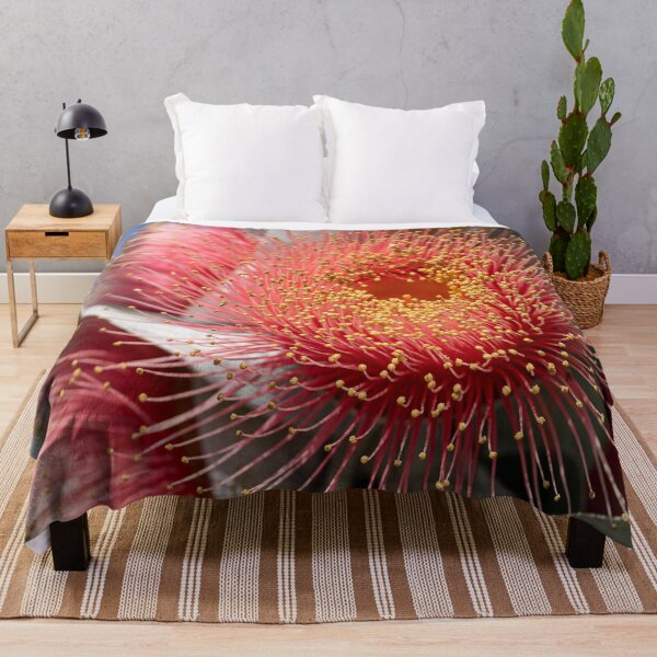Item preview, Macrocarpa Magic 3 designed and sold by SallyB.Photography.
