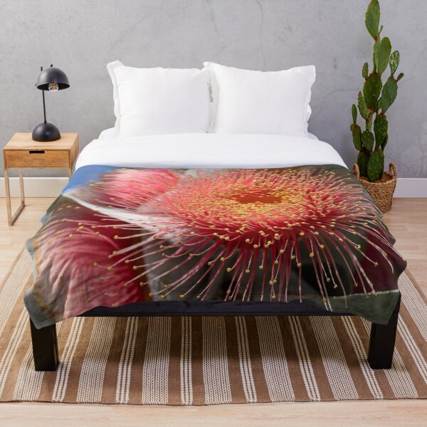 Item preview, Macrocarpa Magic 3 designed and sold by SallyB.Photography.