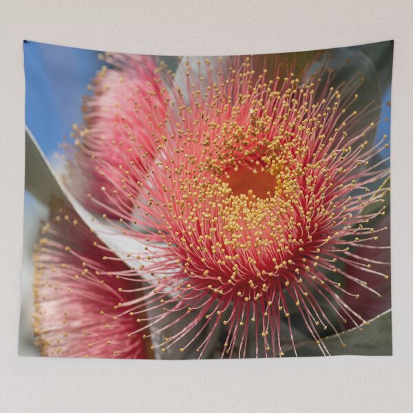 Item preview, Macrocarpa Magic 3 designed and sold by SallyB.Photography.
