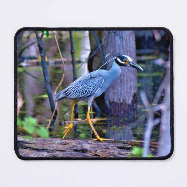 Item preview, Yellow Crowned Night Heron designed and sold by What I See by Dawne.