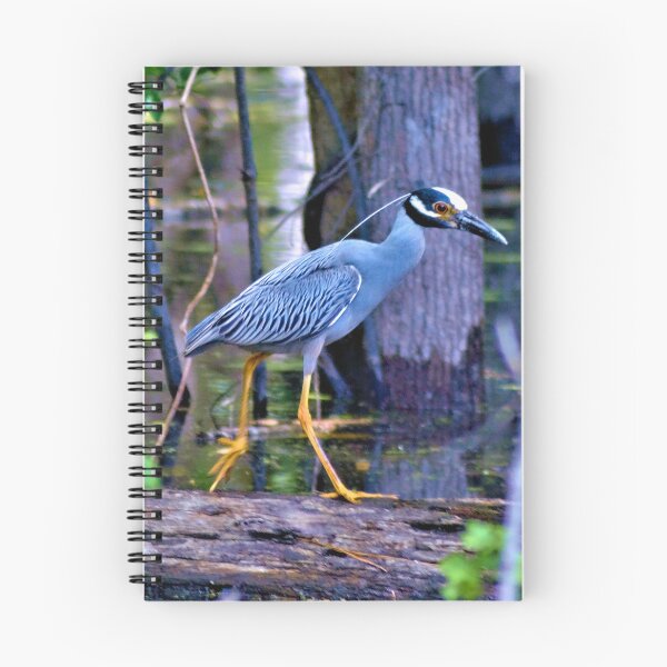 Item preview, Yellow Crowned Night Heron designed and sold by What I See by Dawne.