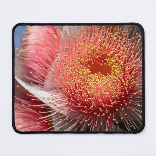 Item preview, Macrocarpa Magic 3 designed and sold by SallyB.Photography.