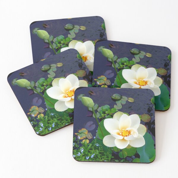 Item preview, Nelumbo Lutea (Amarican Lotus) #2 designed and sold by Anthony Seeker.