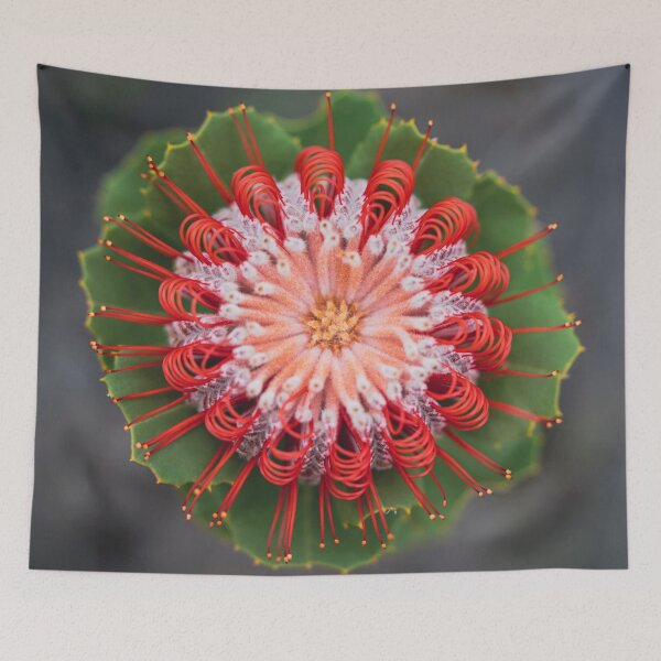 Item preview, Scarlet Perfection designed and sold by SallyB.Photography.
