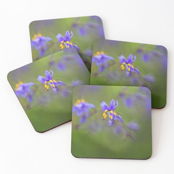 Item preview, Flax Butterfly Iris designed and sold by Joy Watson - Natural Light Photography .