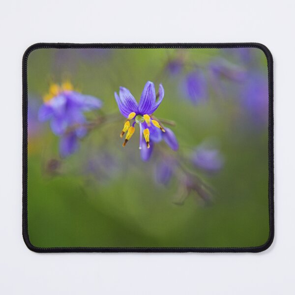 Item preview, Flax Butterfly Iris designed and sold by Joy Watson - Natural Light Photography .