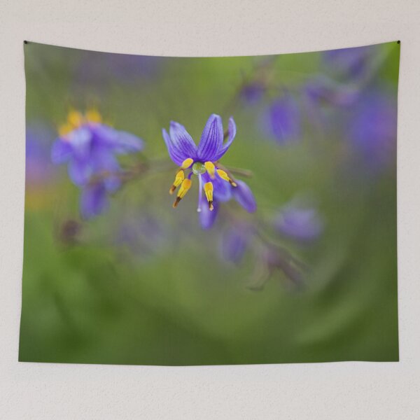 Item preview, Flax Butterfly Iris designed and sold by Joy Watson - Natural Light Photography .