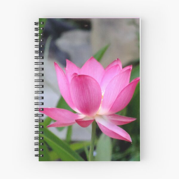 Item preview, Nelumbo Nucifera (Sacred Asian Lotus) #1 designed and sold by Anthony Seeker.