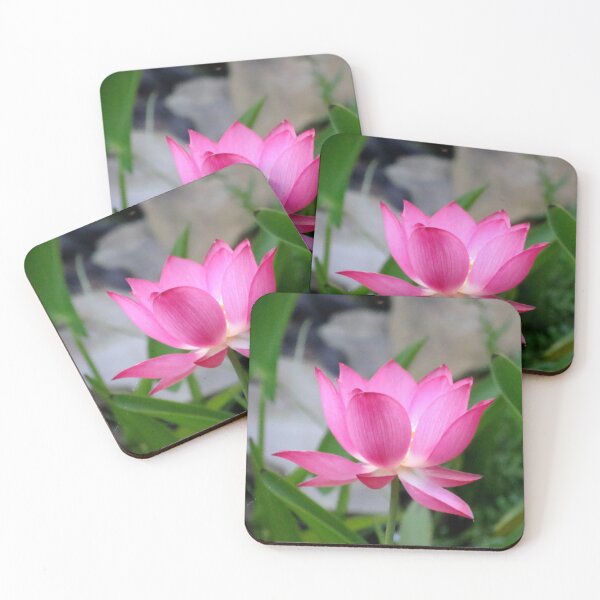 Item preview, Nelumbo Nucifera (Sacred Asian Lotus) #1 designed and sold by Anthony Seeker.