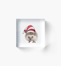 Christmas Hedgehog Elf Santa Claus Helper Acrylic Block