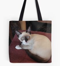 Meet Mick (Purebred Snowshoe) Tote Bag