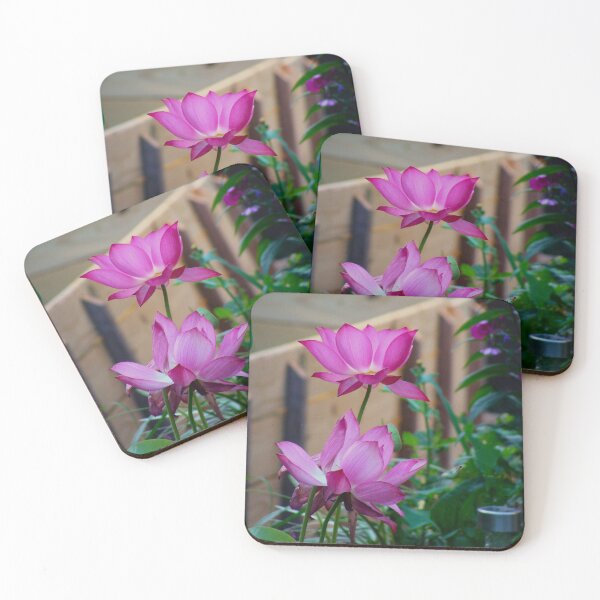 Item preview, Nelumbo Nucifera, Sacred Asian Lotus #2 designed and sold by Anthony Seeker.
