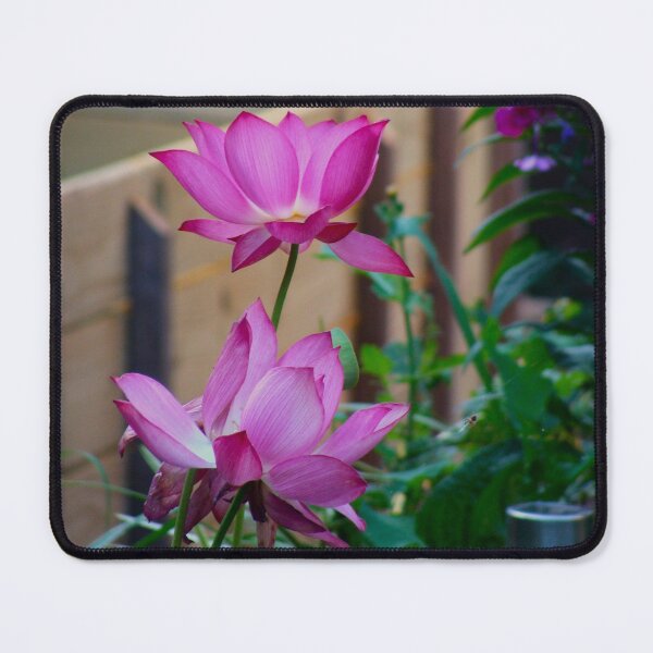 Item preview, Nelumbo Nucifera, Sacred Asian Lotus #2 designed and sold by Anthony Seeker.