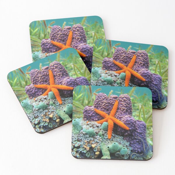 Item preview, Comet sea star with colorful sponge underwater designed and sold by Seaphotoart.
