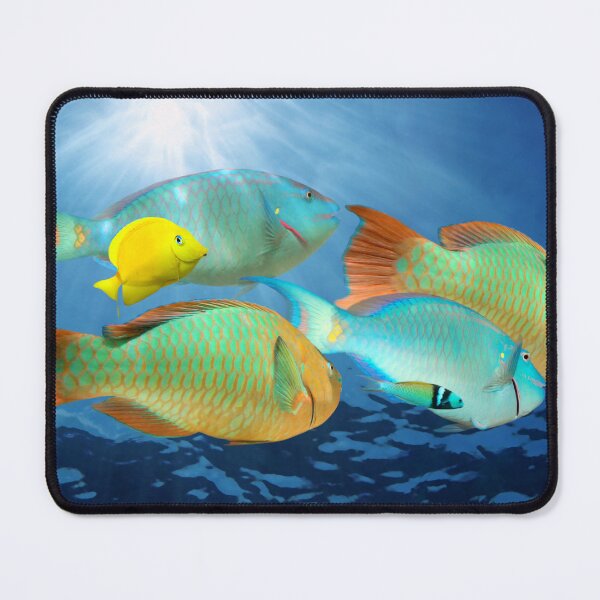 Item preview, Colorful tropical fish underwater designed and sold by Seaphotoart.