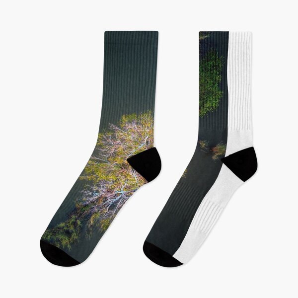 Item preview, Looking down on a flooded tree designed and sold by Huskyyy Designs.