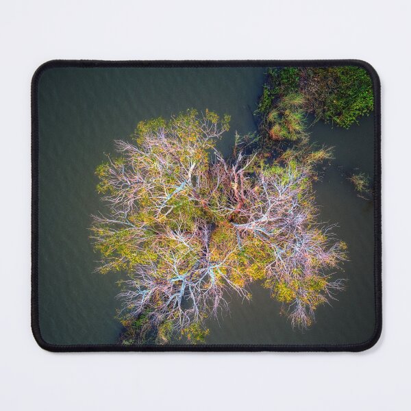 Item preview, Looking down on a flooded tree designed and sold by Huskyyy Designs.