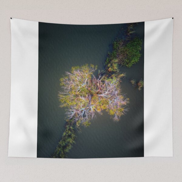 Item preview, Looking down on a flooded tree designed and sold by Huskyyy Designs.