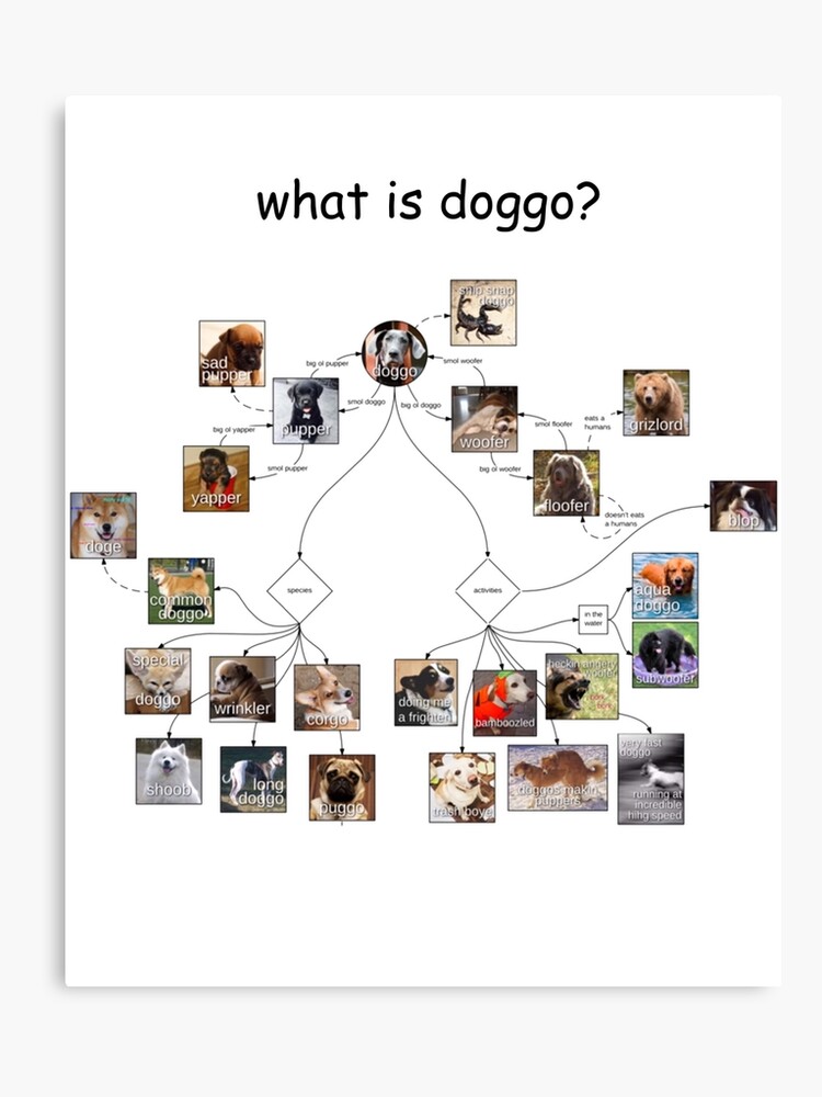 The Doggo Chart