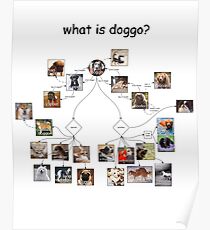 Doggo chart Poster