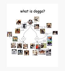 Doggo chart Photographic Print