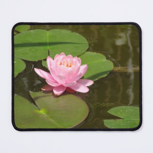 Item preview, Pink Waterlily #1 designed and sold by Anthony Seeker.