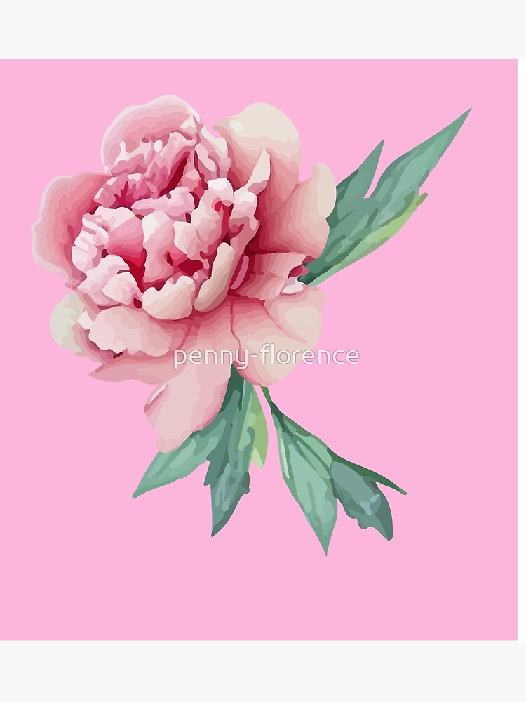 Peony in pink | Poster