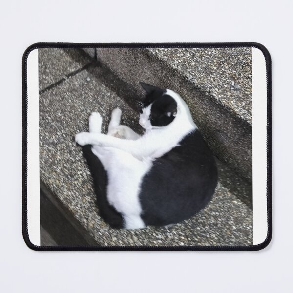 Artikelvorschau, katze entworfen und verkauft von No Talk Studio .