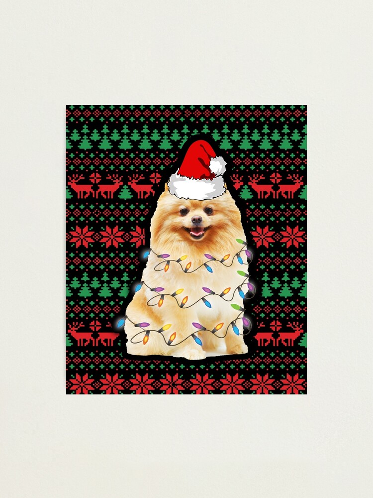 Cute pomeranian ugly christmas sweater holiday dog