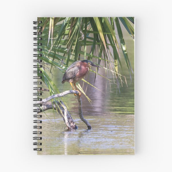 Item preview, Green Heron 220329 designed and sold by Roland McCoy.