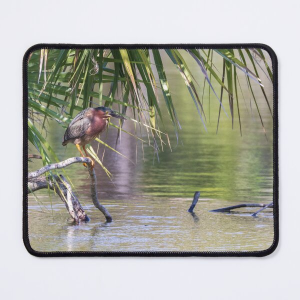 Item preview, Green Heron 220329 designed and sold by Roland McCoy.