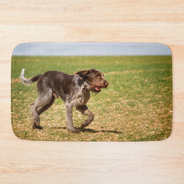 Item preview, Running with a ball Spinone by heidiannemorris designed and sold by FOLK ART FUSION by heidiannemorris.