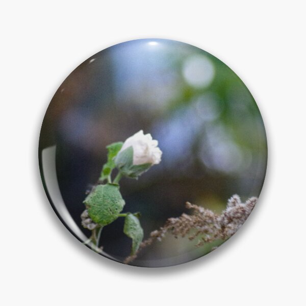 Item preview, Last stubborn flower blooms designed and sold by SRosuphotos.