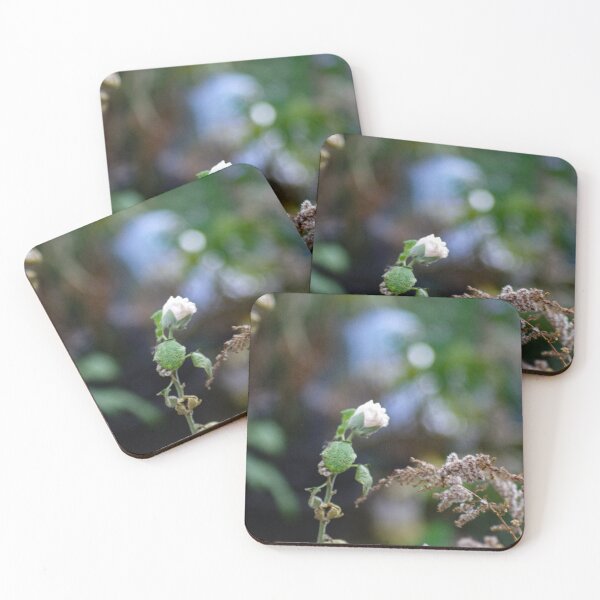 Item preview, Last stubborn flower blooms designed and sold by SRosuphotos.