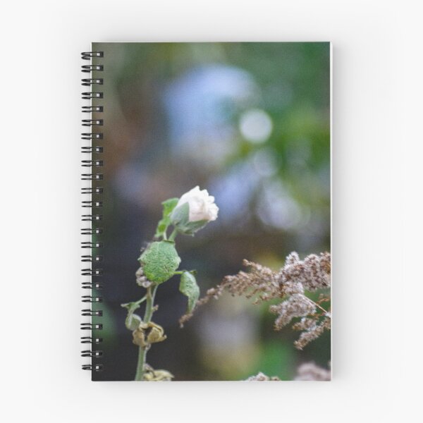 Item preview, Last stubborn flower blooms designed and sold by SRosuphotos.