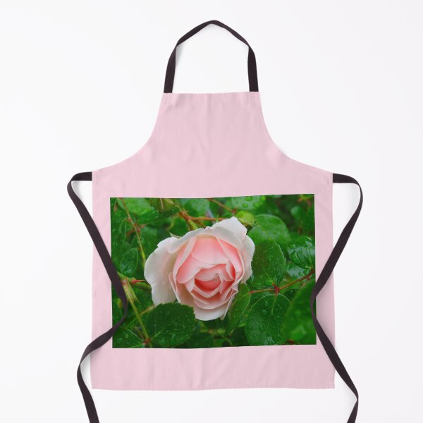 Item preview, Heirloom Rose Unknown. designed and sold by Anthony Seeker.