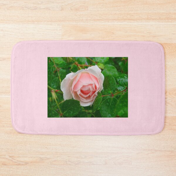 Item preview, Heirloom Rose Unknown. designed and sold by Anthony Seeker.