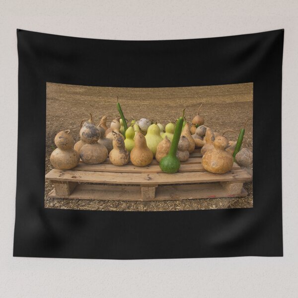 Artikelvorschau, Calabash-Display auf der italienischen Kürbisfarm entworfen und verkauft von jojobob.