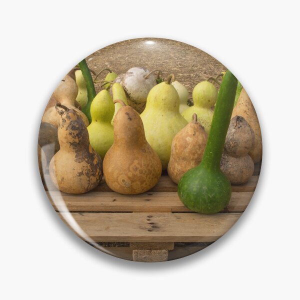 Item preview, Calabash Display at Italian Pumpkin Farm designed and sold by jojobob.