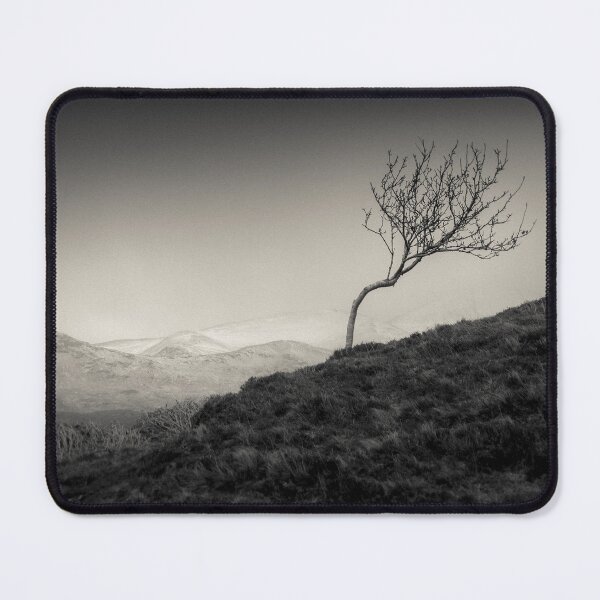 Item preview, Highland Tree designed and sold by David Bowman.