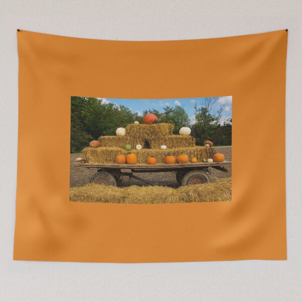 Item preview, Display at Italian Pumpkin Farm designed and sold by jojobob.