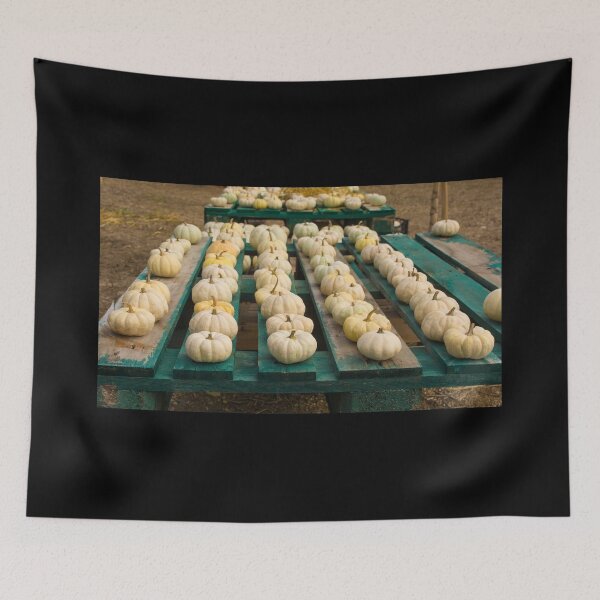 Item preview, Display at Italian Pumpkin Farm designed and sold by jojobob.
