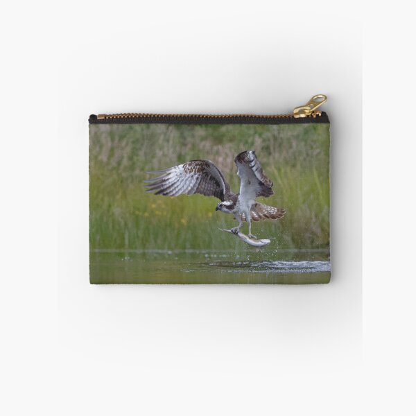 Item preview, Osprey designed and sold by Yves Roumazeilles (Wild Focus).