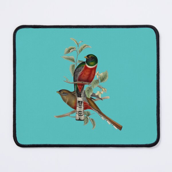 Item preview, TROGON BIRD designed and sold by MicbellaArt.